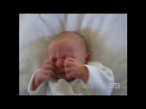 Australia's Funniest Home Videos (1): 2009/10/31