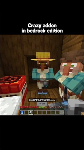 Minecraft Crazy Villager News Addon Moments