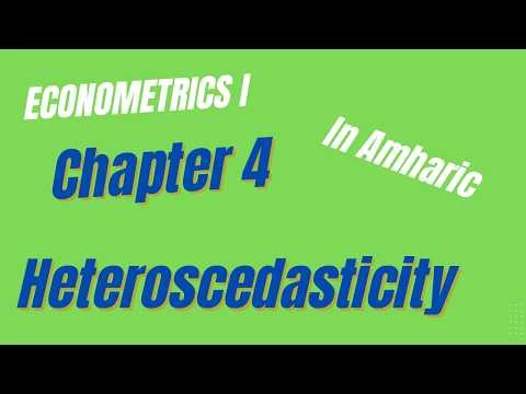 Heteroscedasticity in Econometrics | Nature, Causes, Consequences, and Solutions (Chapter 4)