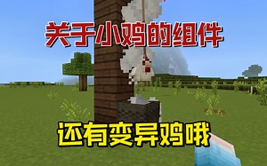 我的世界：关于小鸡的模组，还有变异鸡哦！
