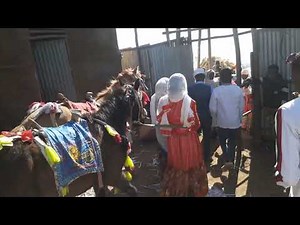 Sirbaa cidhaa addaa oromoo