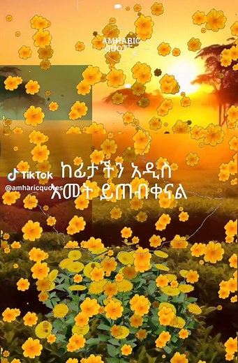አዲሱ አመት ዕድልና በሰላም ወደ ቀን መግባት