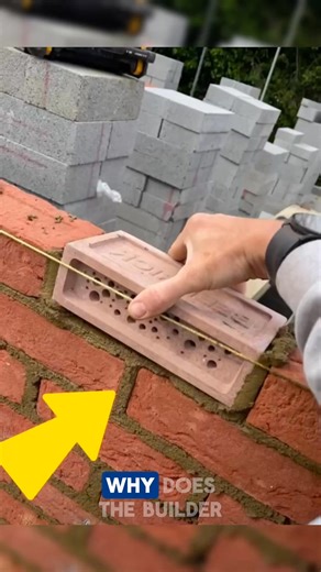 588K views · 3.3K reactions | Bee Bricks for Solitary Bees  Bee Bricks for Solitary Bees  are a smart eco-friendly solution designed to protect nature while supporting biodiversity. These special bricks give bees a safe home, helping balance the environment.  Perfect for sustainable living and green building. Credits: mateo.zielonka /YT, dutchbricklayers /YT #EcoFriendly #SustainableLiving #GreenBuilding #honeybee #bees | OnyN News | Facebook