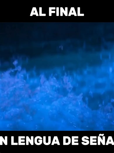“Al final”, de Moana 2. También se adelantaron “No se habla de Bruno” de Encanto en Lengua de Señas, y “Lo Que Hay Que Hacer”, de Frozen 2. Disney estrenará el 27 de abril una innovadora serie de cortos