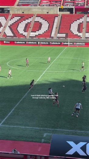 Exploring the Passion for Soccer in Hawaii