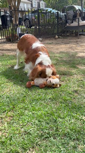 27K views · 1K reactions | Cataract surgery is sooooo much more than...