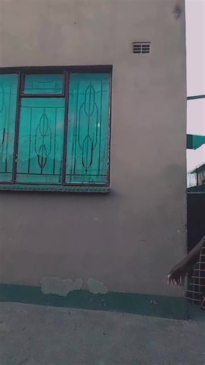 pipi🤩bea (@pipibea12)’s videos with original sound - UnderConstructionRecords