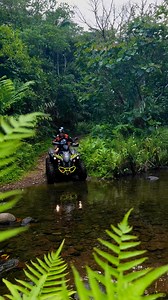 5.8K views · 29 reactions | Embark on an exhilarating ATV adventure, navigate through rugged terrains, conquer thrilling obstacles, and unleash your inner adrenaline junkie as you explore the breathtaking landscapes of Sierra Madre mountains | CAMP AWOL | Facebook