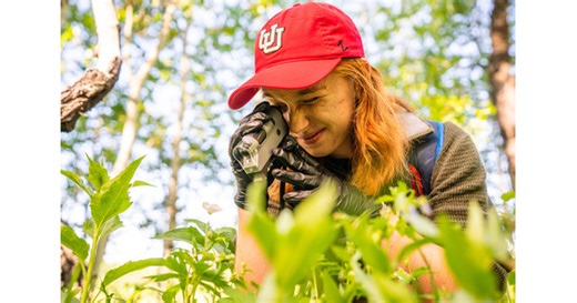 School of Biological Sciences