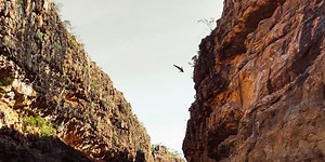 How the Outback helped a world champion cliff diver rediscover her purpose.