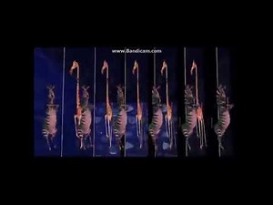 Madagascar’s Candyman scene but only with Marty and Melman dancing for an hour
