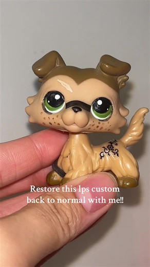 LpsRainbowTV on TikTok