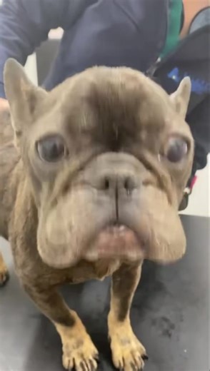 6.9K views · 713 reactions | Nicki Minaj  Such cruelty  This...