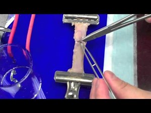 2012,02,03 Vascular Anastomosis