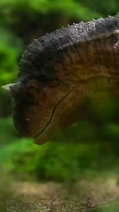 338 reactions · 23 shares | Prehistoric Planet Documentary \ Season 1...