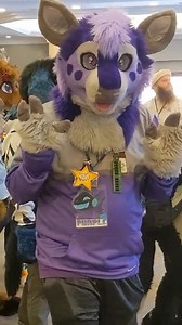 Furry Con Recap in Under 60 Seconds