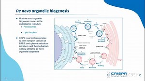 12 reactions | Cell biology is the study of cell structure and function, and it revolves around the concept that the cell is the fundamental unit of life. It deals with all aspects of the cell including cell anatomy, cell division (mitosis and meiosis), and cell processes including cell respiration, and cell death. Cell biology does not stand alone as a discipline but is closely related to other areas of biology such as genetics, molecular biology, and biochemistry. | CBEHx | Facebook