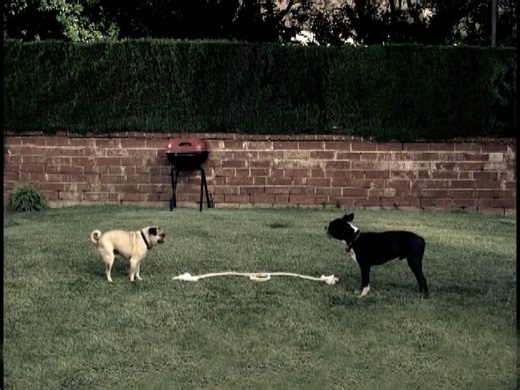 Frontline Plus - Tug of War :30