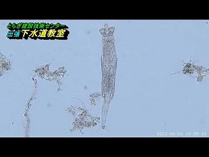 出張下水道教室「第１話 働き者の微生物」の巻
