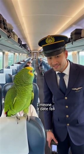 Daily funny shorts, talking parrot reactions, roasting videos, and emotional moments.#youtubeshorts