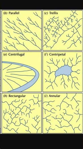 Drainage system pattern#geography ‪@UPSCvaleh‬