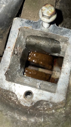 Exploring the Zip 50cc 2T Scooter