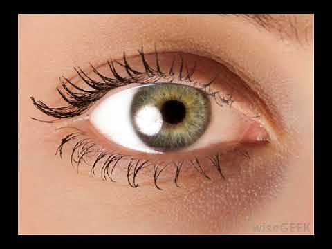 What Is an Eye Socket