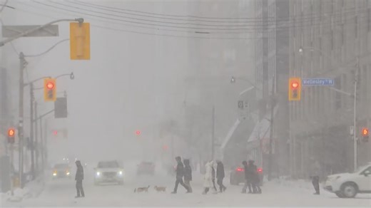 Toronto city manager on TTC shutdowns, snow plow plan
