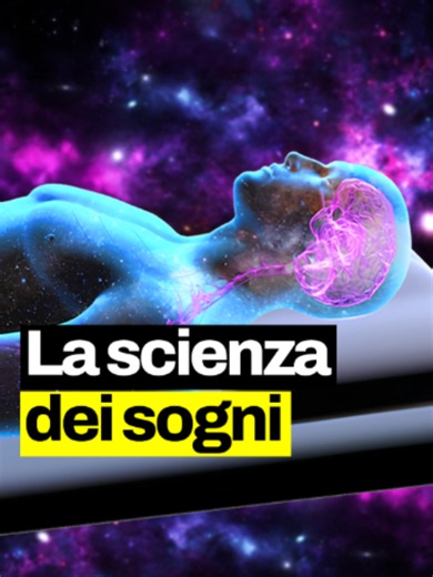 Trascorriamo in media 5 anni della nostra vita sognando… Ma perché i sogni ci sembrano così reali, anche se sono assurdi? E perché a volte non ce li ricordiamo? Vediamo cosa accade nel nostro cervello #geopop #scienze #losapeviche? #sogni