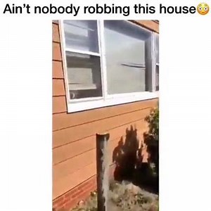 6.1K views · 154 reactions | My Buddy My Pal My Friend on Reels | Facebook