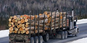 Maine loggers are used to hard times. Then came the tariffs.