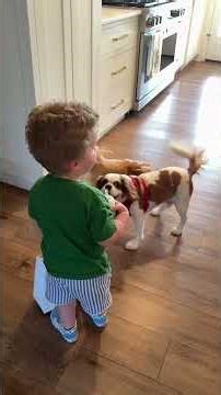 Tanner is SUGARED AND BRONZED restaurant was the modern rose in downtown st aug