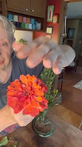 I can't believe it is so hot outside. But I'm going to pick my zinnias and make some bouquets. There are so many types of beautiful vases to pick from. You don't have to have zinnias to make a beautiful bouquet. There are so many textures of green leaves in your yard and in your shrubbery ,that a bouquet of greenery is gorgeous any time of the year. Keep live things in your house it reduces stress and causes you to just be happier. Hope y'all have a wonderful day. Get your outside work finished 