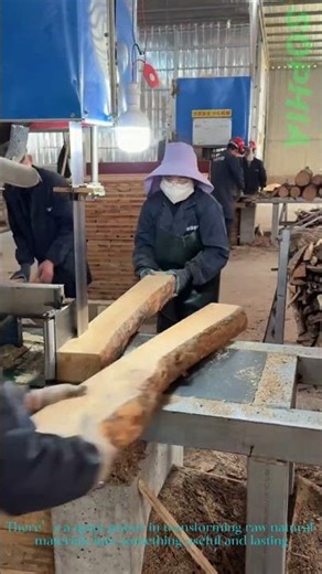 From Log to Lumber: Industrial Wood Processin