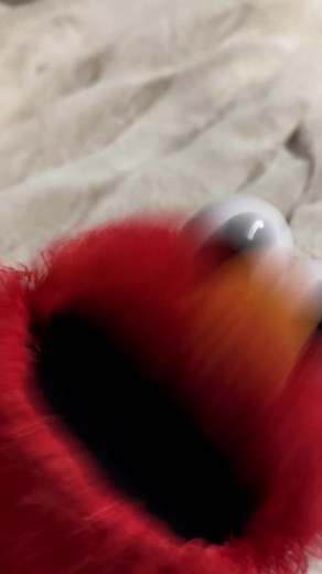 Elmo's Brownie Adventure and Bunny Rabbit Encounter