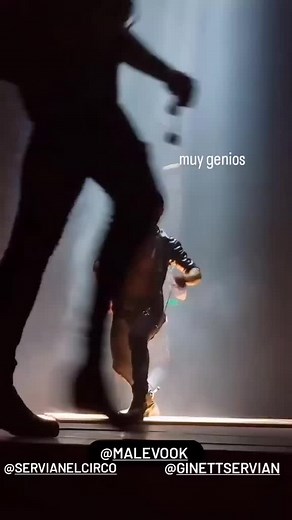 #malevo🔥🔥🔥 #malambo_argentino #gauchosargentinos #boleadoras #argentina #gauchos #zapateo #viral #parati @federicoarrua