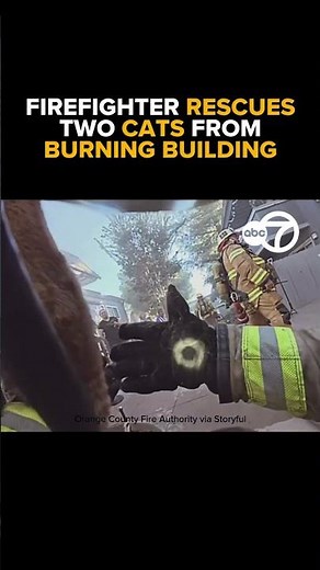 Firefighter Rescues Two Cats From Burning Building