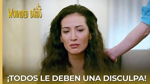 ¡Todos le deben una disculpa! | #OmerSueñosRobados Capítulo 168 | Omer Suenos Robados