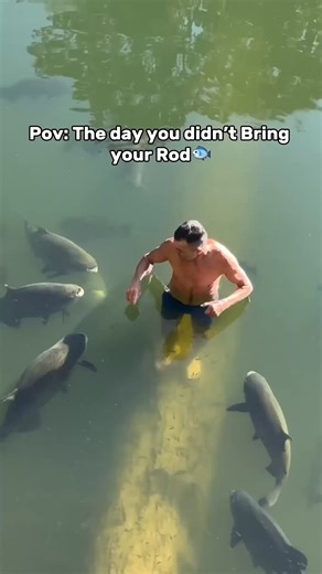 Most fishing rods are 6 feet long… this one fits in your pocket! 👖🎣 The Pen Pocket Rod isn’t about breaking PBs—it’s about having fun, anywhere, anytime. Would you keep one as your backup rod? 🎥:penpocketrod #fishing #fishingtackle #FishingGear #outdoors #anglerlife #angler #CarpFishing | Bait Boat World
