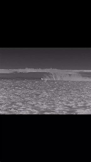 Thermal Hunting for Coyotes in Minnesota