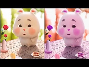 Super cute fat rabbit and fatimah cute