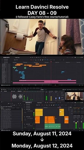 Davinci Resolve day 8 - 9: [Timelapse] Sound Design in Davinci Resolve Fairlight Page