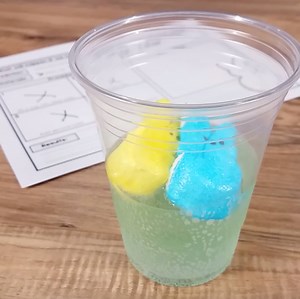 SPRING MARSHMALLOW SCIENCE: Easy to follow science experiments for little learners! https://www.teacherspayteachers.com/Product/Easter-Activities-Peeps-Science-1204355 | Simply Kinder