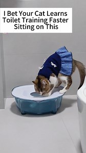 1.4M views · 9.3K reactions | Don’t Miss This Smart Cat Toilet Training Setup  #CatLitter #NoStickLitter #ClumpingLitter #CleanLitterBox #CatCare #PetCare #PetLovers #litterbox #cats #CatLitterBox #catlover #litièrepourchat #Katzenstreu #lettierapergatti #arenaparagatos #kattenbakvulling #άμμοςγιαγάτες #żwirekdladlakota | Pawpycupcat | Facebook