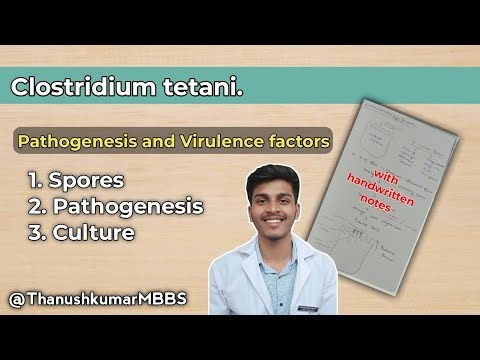 Clostridium tetani Made Easy | Tetanus + Toxin Mechanism (MBBS Exam Must)