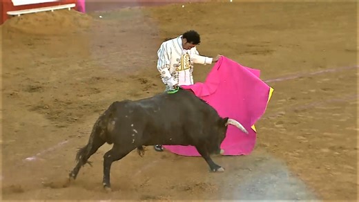 Toros desde Cazalla de la Sierra  (Sevilla)