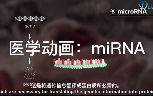 3D医学动画科普：miRNA
