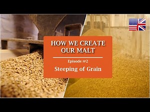 Stage 2: Steeping of Grain | How we make our Malts? | Castle Malting