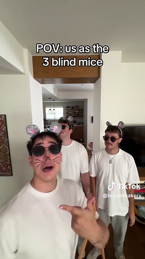 Shrek Costume: 3 Blind Mice Adventure