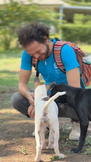 4.6K views · 338 reactions | ✨ Immerse yourself in the heartwarming...